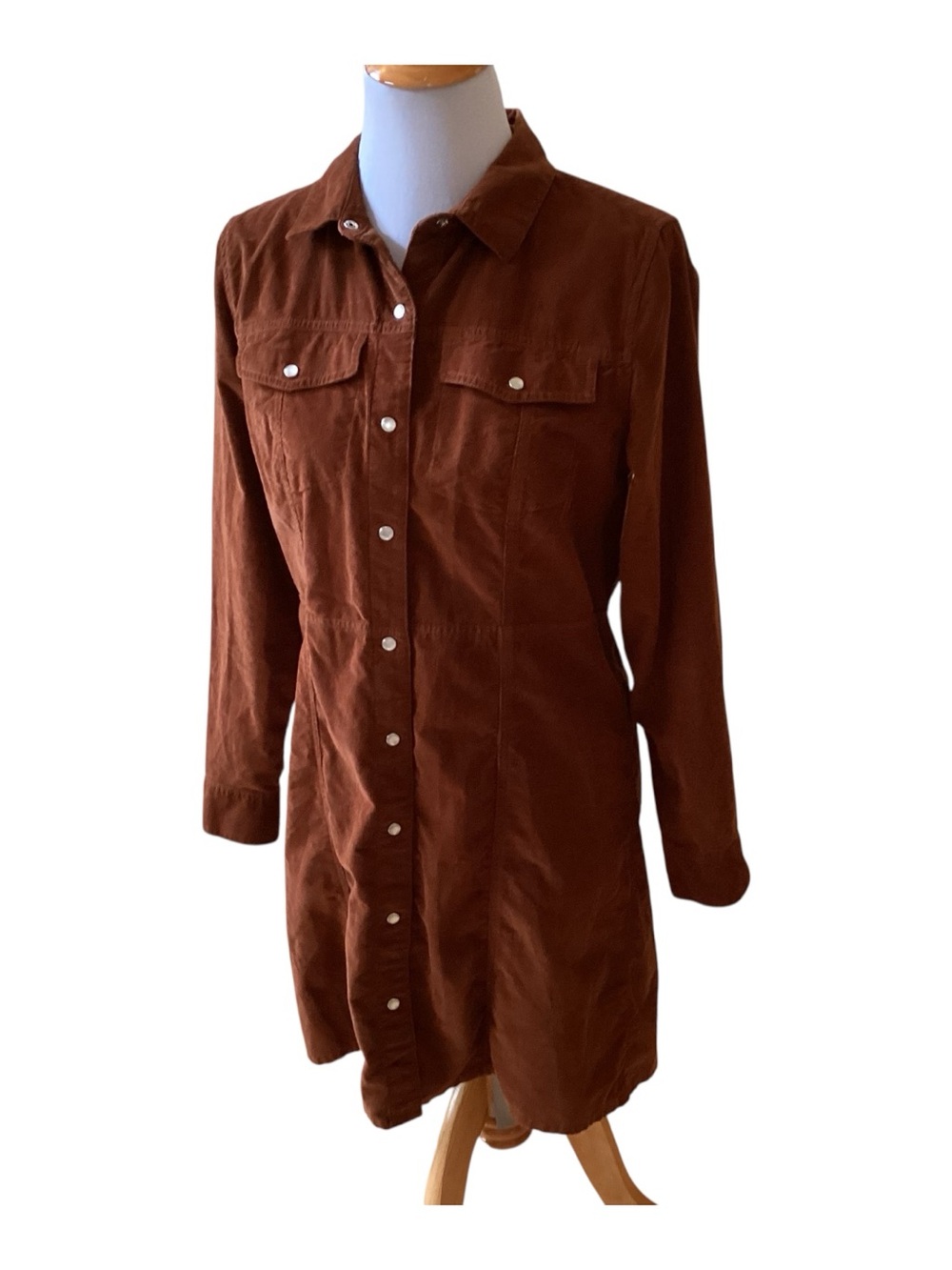 Gap Rust Brown Western Pearl Snap Front Corduroy Dress Misses size M - Picture 3 of 6